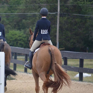 Meet your Posher, Maria